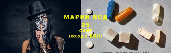 трава Корсаков