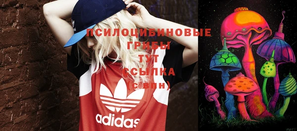 амф Краснотурьинск