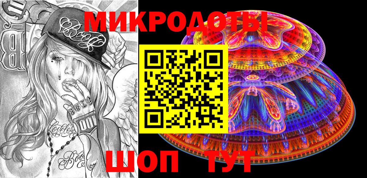 Галлюциногенные грибы Psilocybe Урус-Мартан